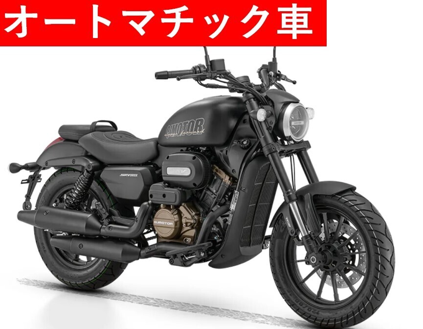 0887f2d4-0b2d-4277-8e66-df57b39c6f23 QJモーター SRV250A - 画像 (1)